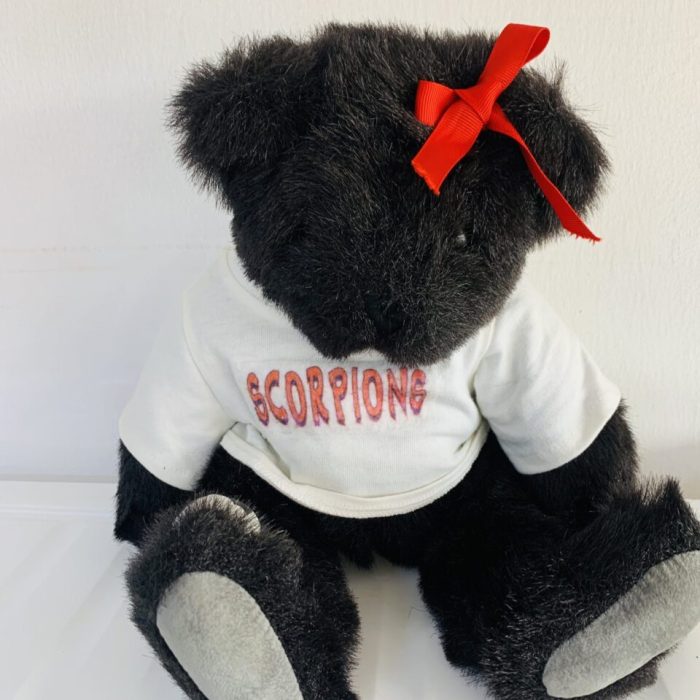 THE VERMONT TEDDY BEAR